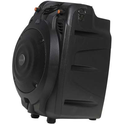 Denver TSP-302 Bluetooth Speaker Karaoke Set - zwart
